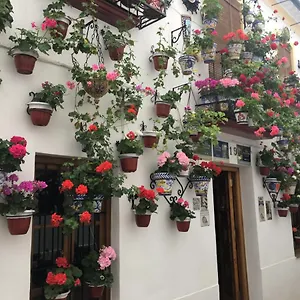 Apartamento Buhardilla De Wallada, Córdoba